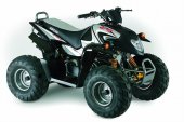 2010 Aeon Revo 50 photo